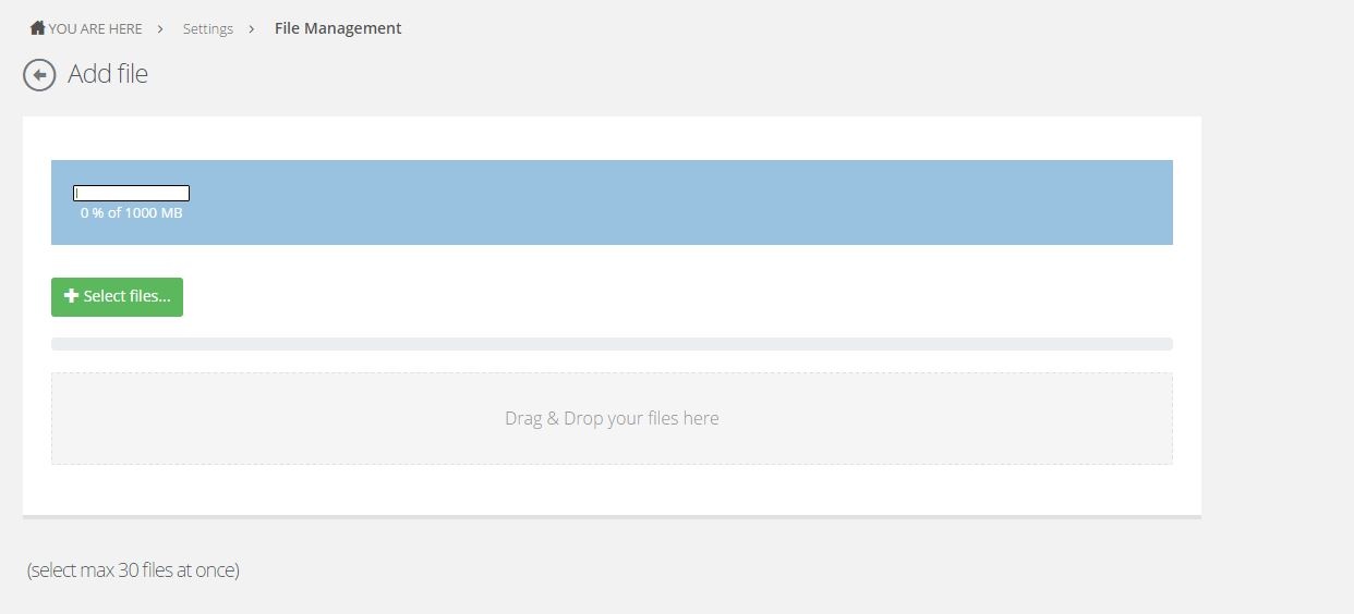 File Management 3