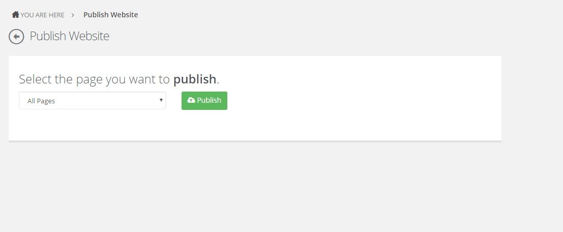 Publishing website 1